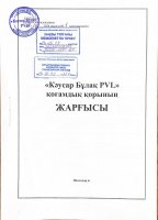 "Кәусар бұлақ PVL" қоғамдық қорының жарғысы